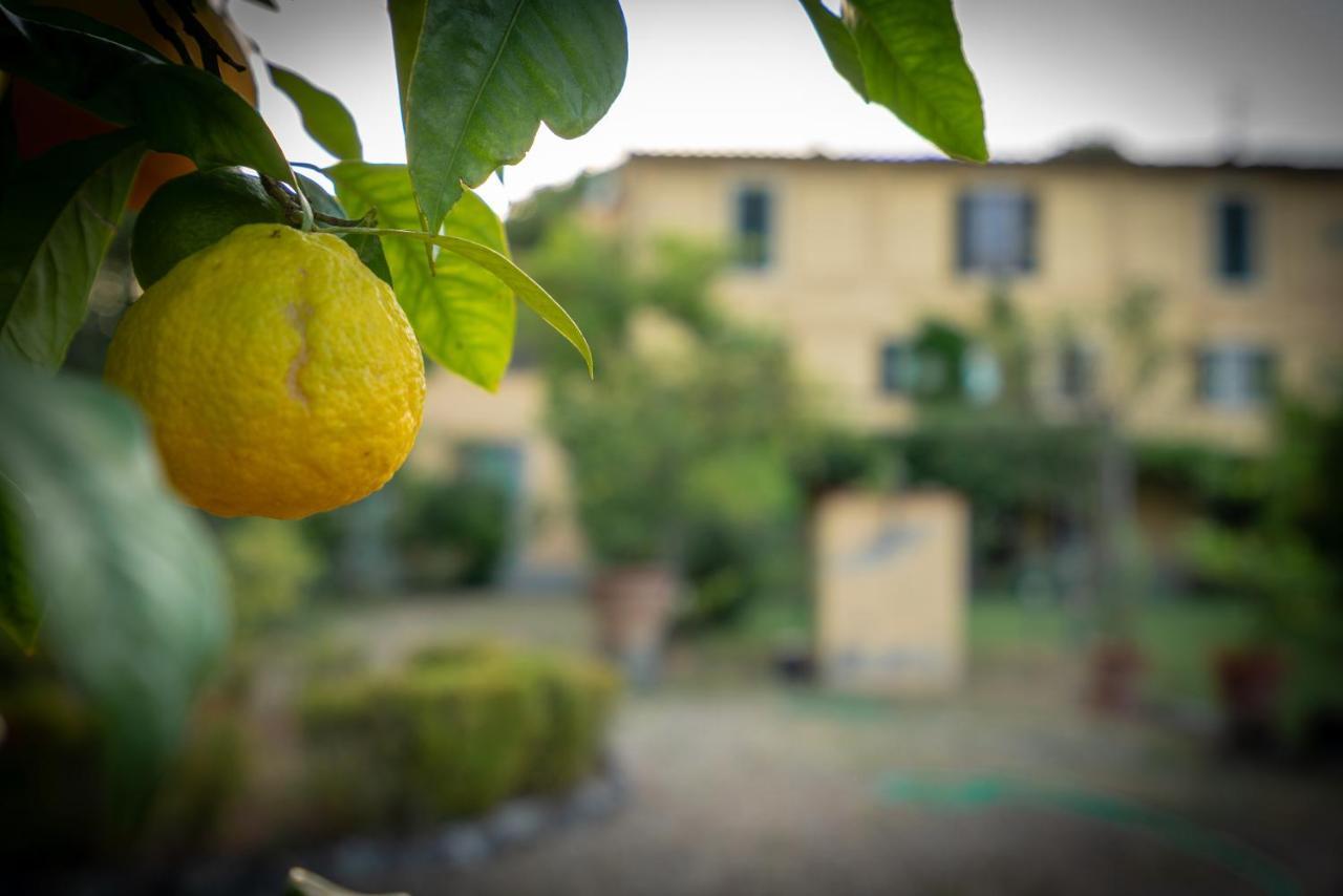 Villa Ape Rosa Relais Florence Ngoại thất bức ảnh